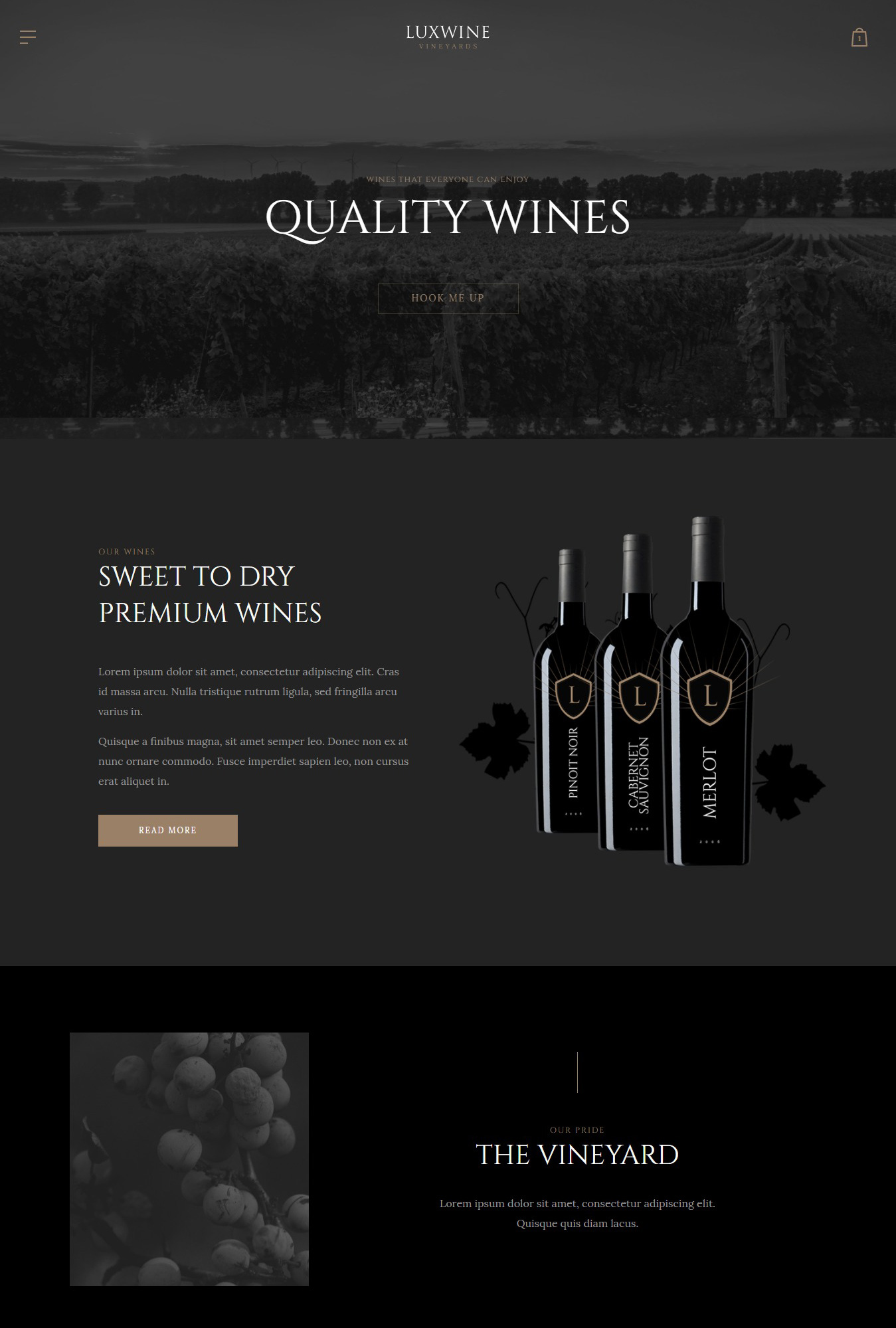 Luxwine homepage style 2
