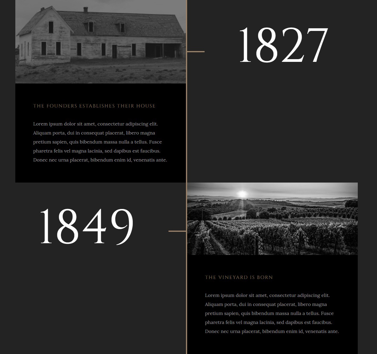 Luxwine history page template