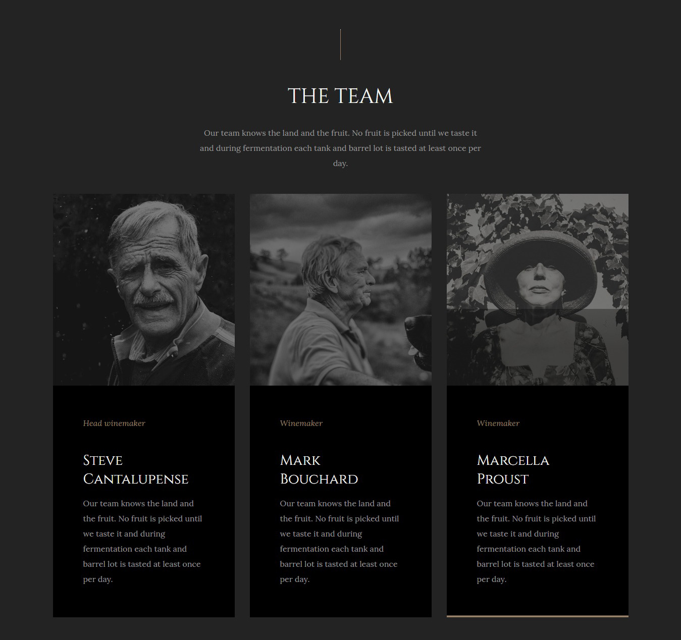 Luxwine team page template