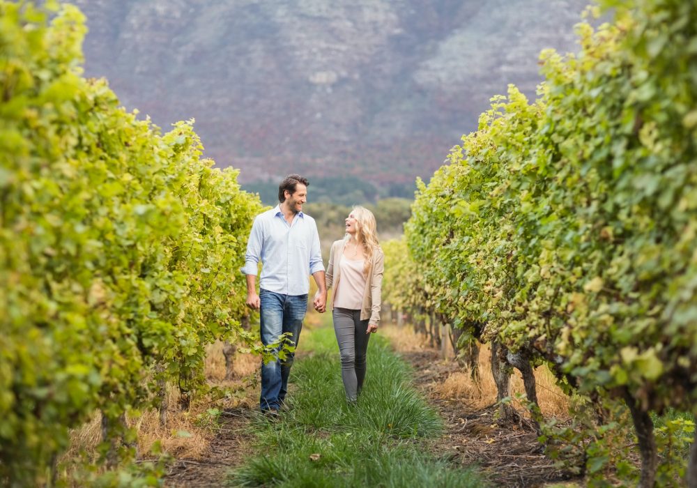 Young happy couple walking next to each other in the grape fields