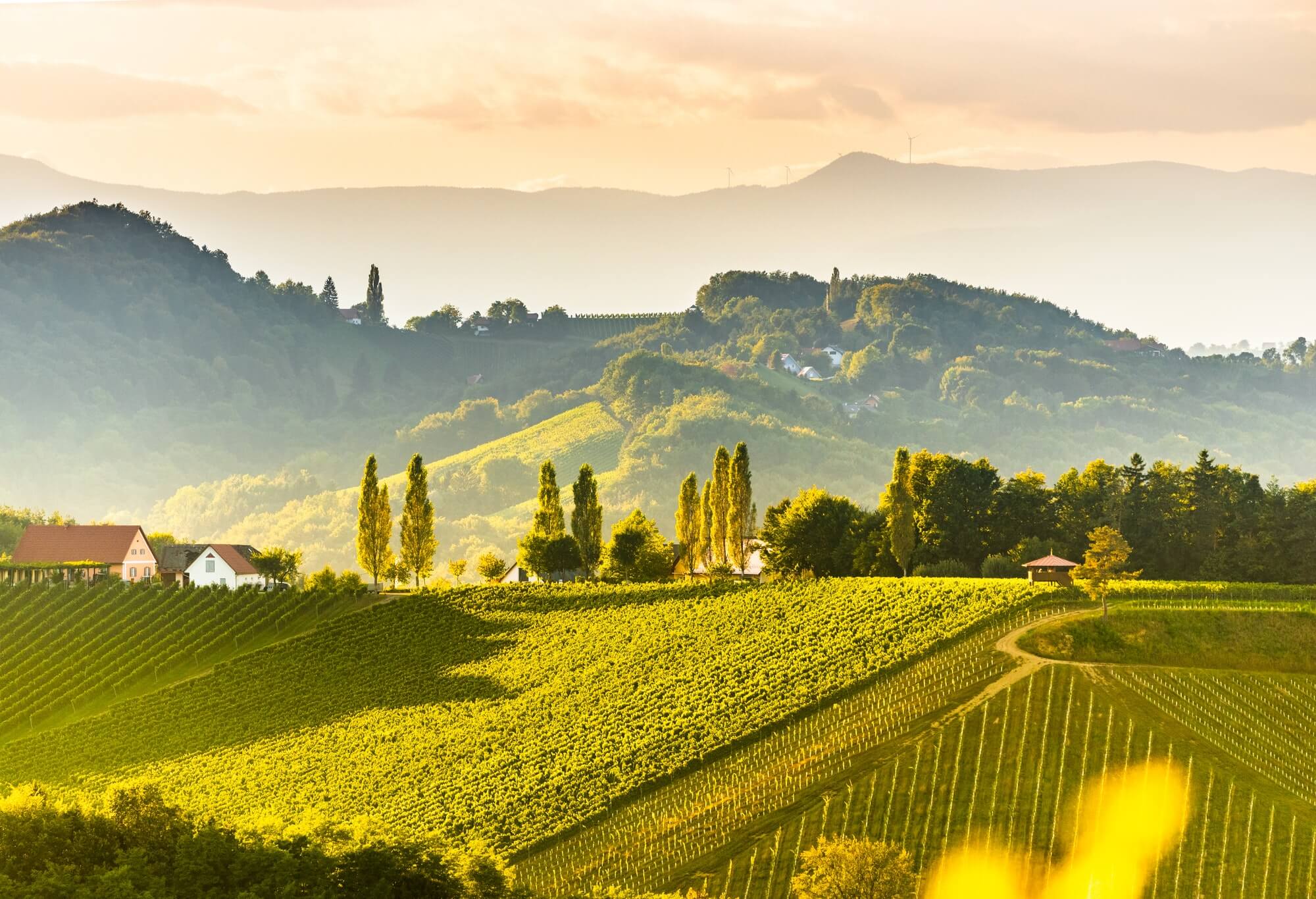 South styria vineyards landscape, near Gamlitz, Austria, Eckberg, Europe. Grape hills view from wine